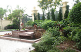 别墅绿化种植&nbsp;树木养护&nbsp;水池花园